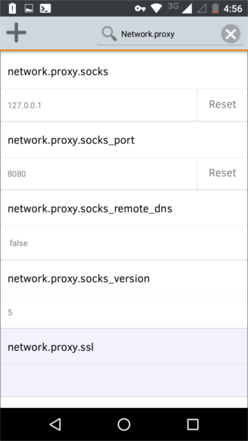 firefox proxy config