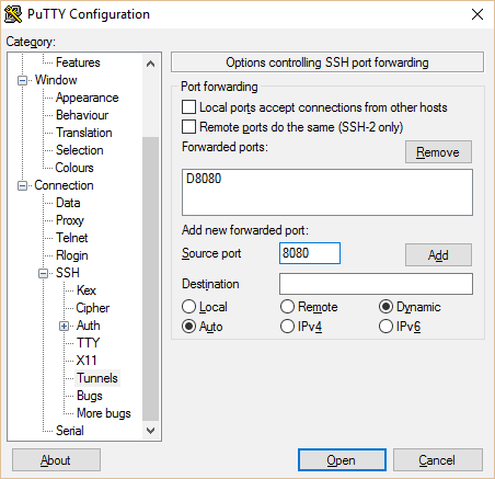 openvpn ssh putty 8080