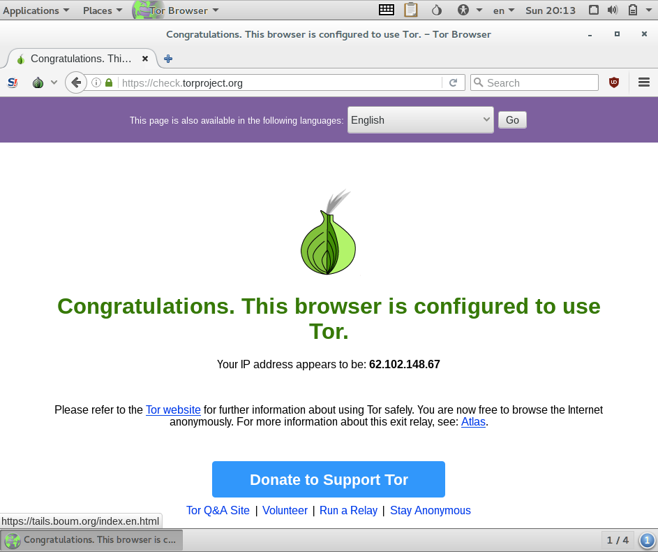 tails running tor browser check