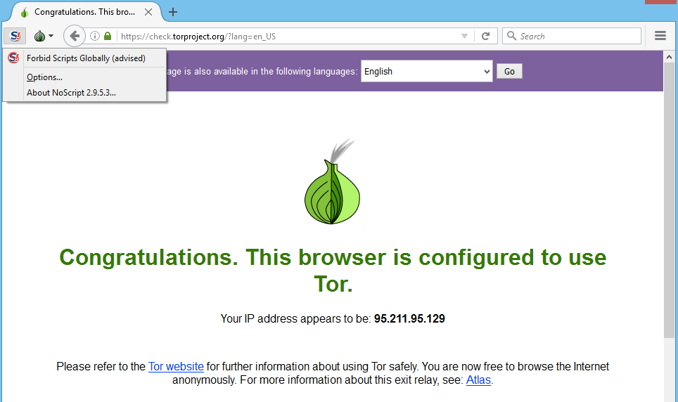 windows tor test network settings