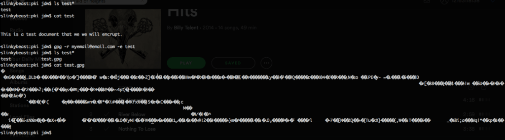 gpg encrypted file