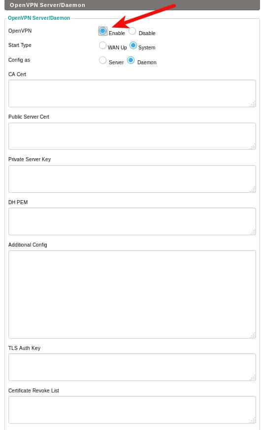 dd-wrt openvpn server fields