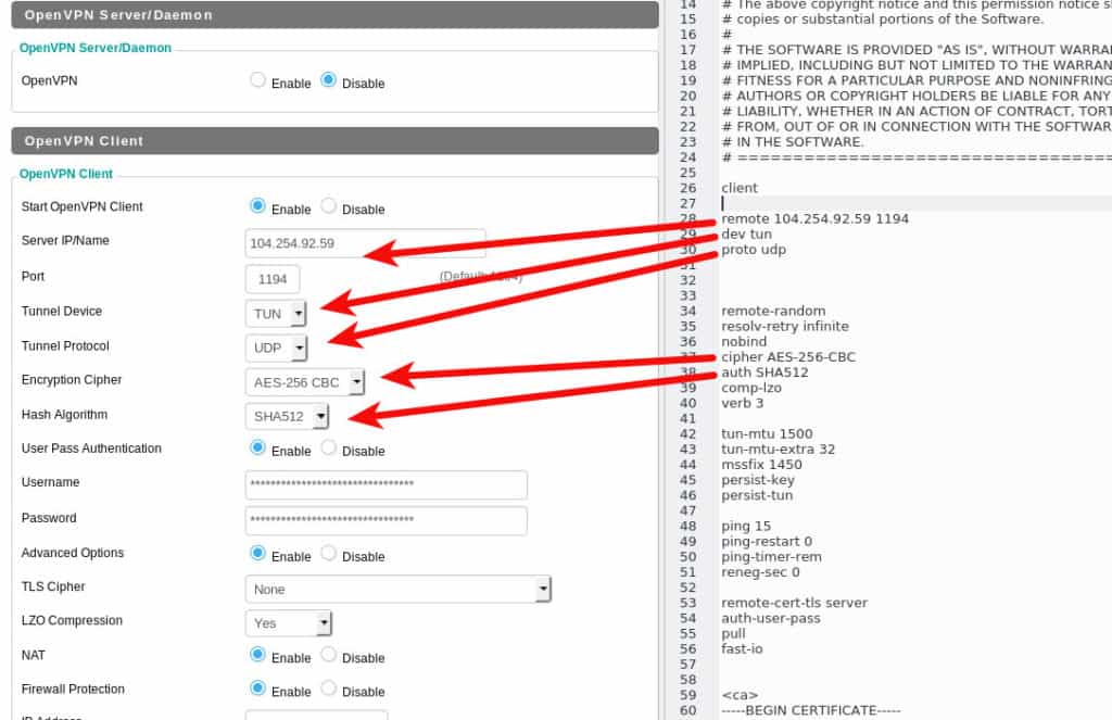 dd-wrt proton settings