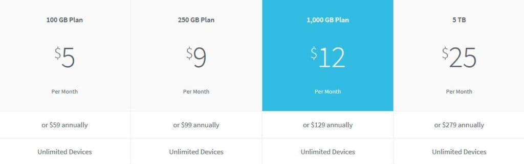 Spideroak pricing table.