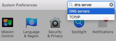 mac dns 1