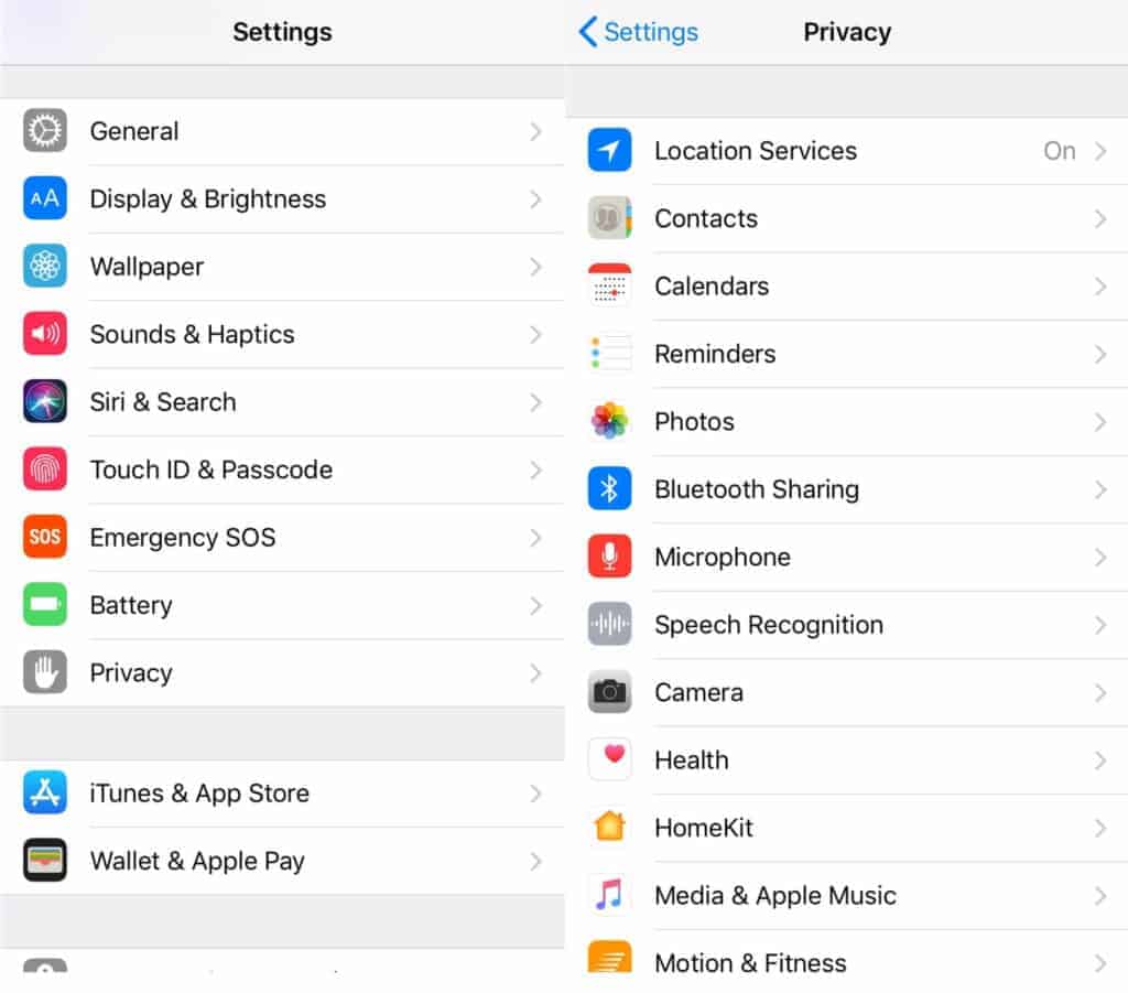 The Settings and Privacy screens.