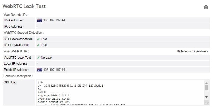 WebRTC leak test.