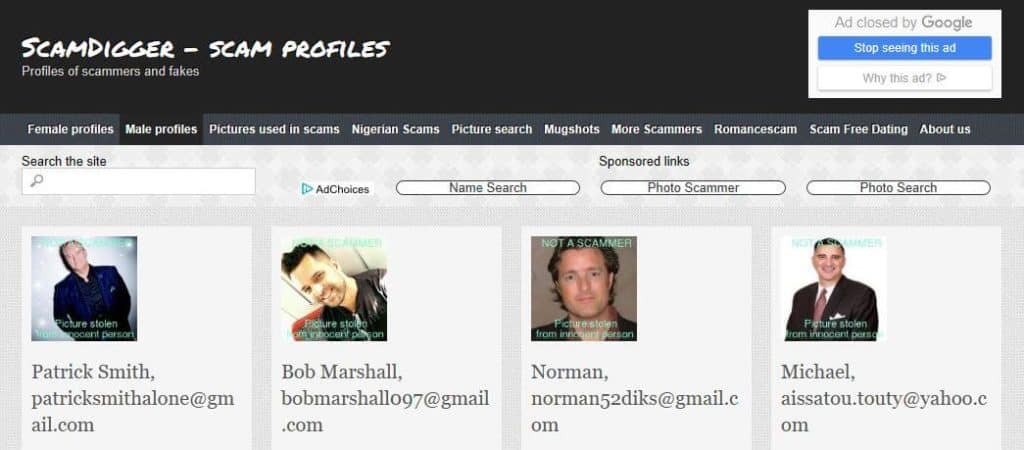 The Scamdigger website.