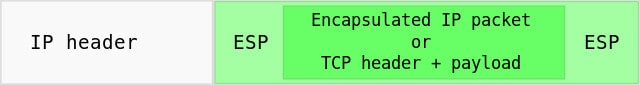 Ipsec-esp.svg