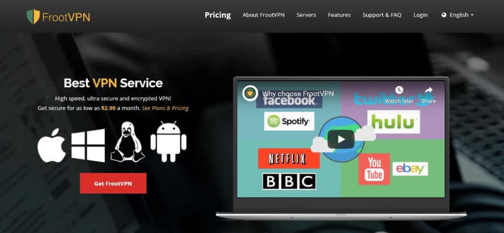 FrootVPN homepage.
