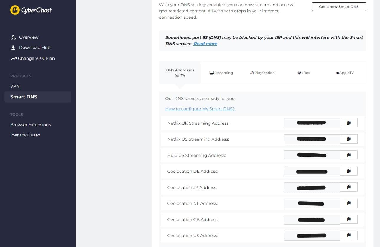 CyberGhost's smart DNS feature.