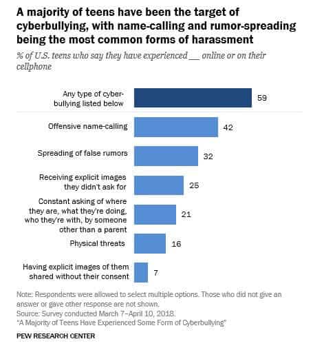 Chart showing the most common types of cyberbullying.