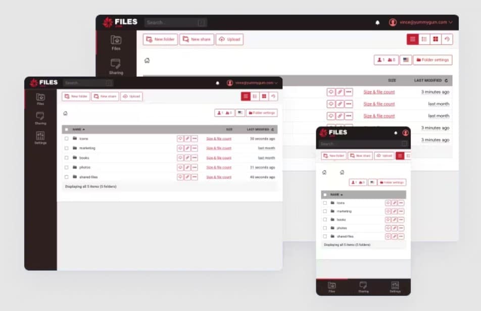 Files.com automatic ftp uploader