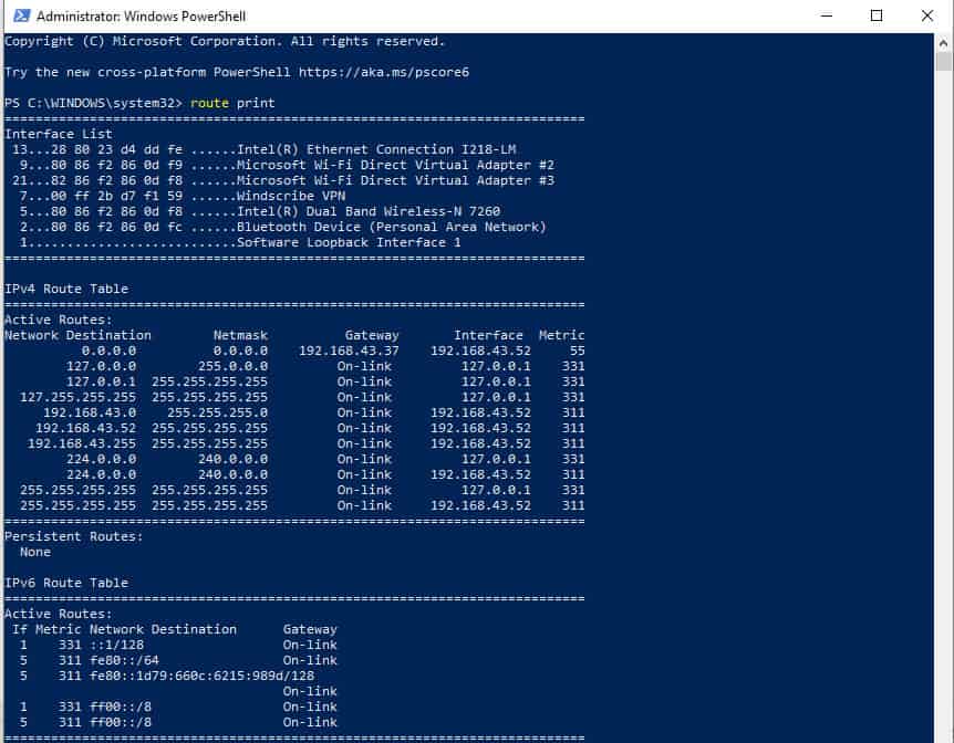 output of the route print command