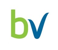 boleh vpn logo square