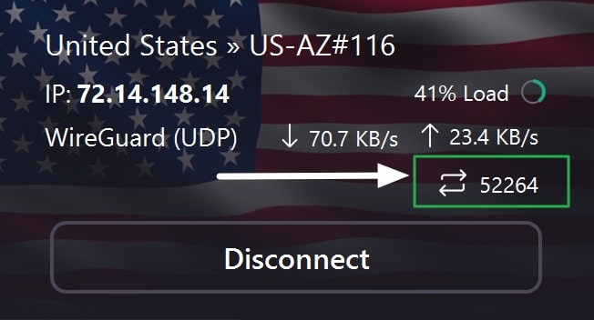 ProtonVPN zum Torrenting