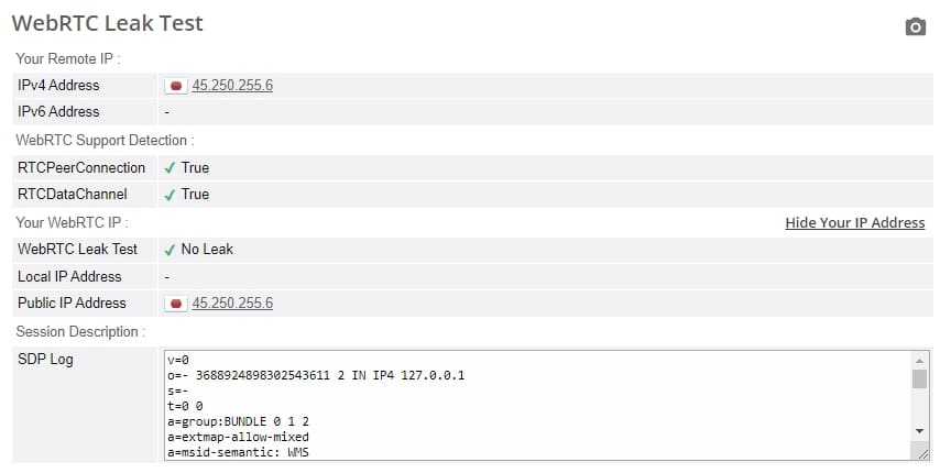 WebRTC leak test.