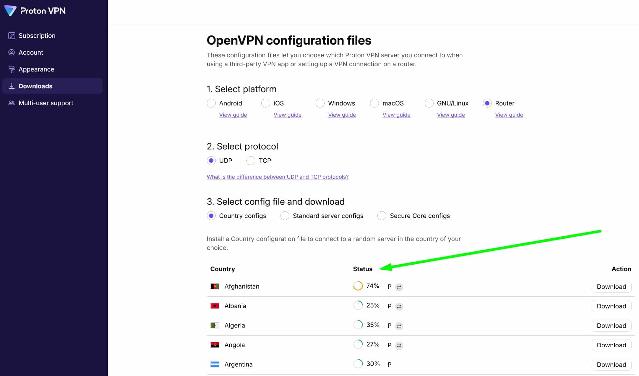 Screenshot showing ProtonVPN's router setup options